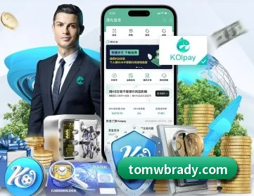 aoa网页版入口 APP 深度功能