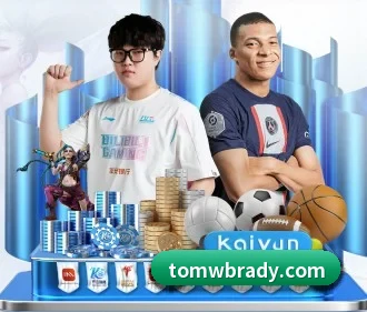 aoa网页版入口 APP
